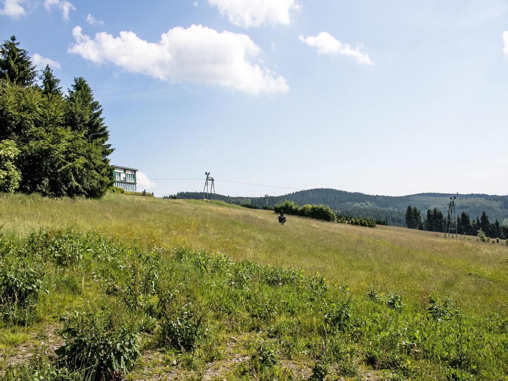 Blick Ins Gruene By Interhome * Winterberg